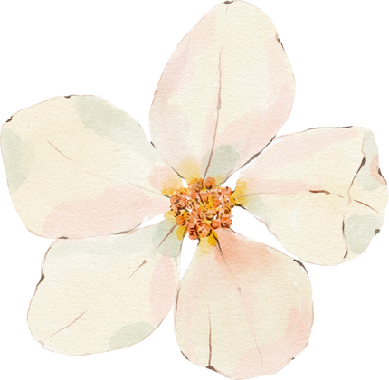 Watercolor white flower